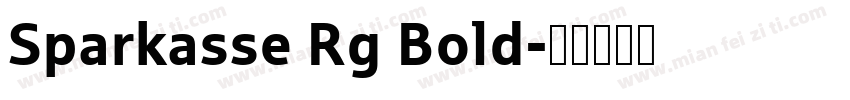 Sparkasse Rg Bold字体转换